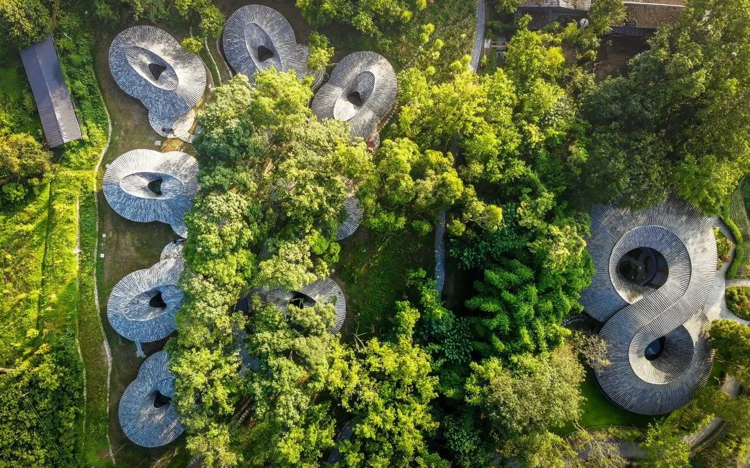 成都 | 非遺竹編、竹林大秀，藏匿在竹林里的地標(biāo)性藝術(shù)空間，盡顯詩(shī)意~